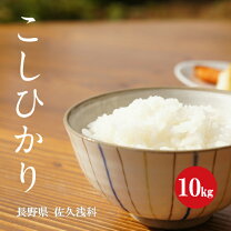 楽天市場】長野佐久産 コシヒカリ 10kgの通販