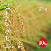 楽天市場】コシヒカリ 30kg 長野の通販