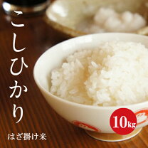 楽天市場】上伊那 コシヒカリの通販