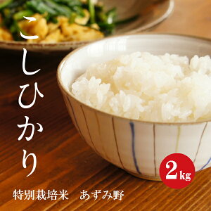 【新米】令和7年産 特別栽培米 こしひかり 安曇野産 1等米 白米 2kg