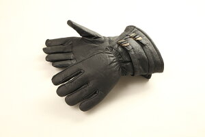 yfOi[WEBK㗝Xz DEGNER/fOi[ EB^[O[u ubN ( WL235W-BK )