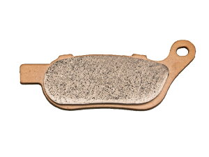 DAYTONA/fCgi HD PAD R DYNA 08-09