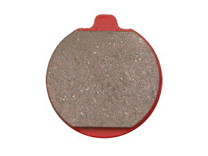 DAYTONA/fCgi AJ PAD(F)Z1000MK2(79)