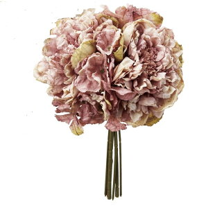 VNN/u[P@ԁ@A[eBtBVt[@VNN̉ԑ