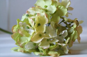 HF@O[@E2532 Jg[  country