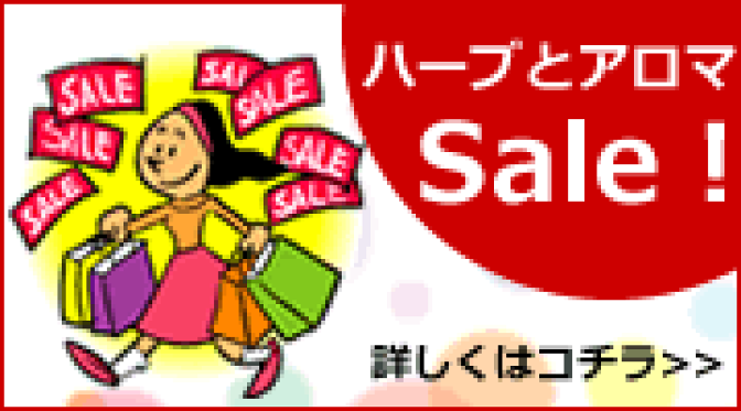 数量限定　セール商品