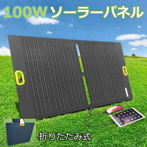 楽天市場】ソーラーパネル 100w 2枚の通販