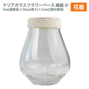 MIZ NAKXt[x[XԊ Vv R   tFCNt[ A[gt[ CeA AWysz