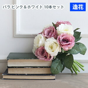 MIZ AWsv  Ehu[PCeA t[AW IuWF ԑ 10{Zbg o zCg AeB[NsN  tFCNt[ A[gt[ CeA A