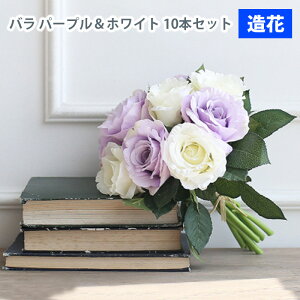 MIZ AWsv  Ehu[PCeA t[AW IuWF ԑ 10{Zbg o zCg p[v  tFCNt[ A[gt[ CeA AWys