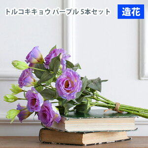 MIZ AWsv  A[u[PCeA t[AW IuWF ԑ gRLLE 5{Zbg p[v  tFCNt[ A[gt[ CeA AWys