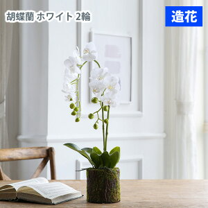 MIZ sv lHA Ӓ IuWF 2 zCg  tFCNt[ A[gt[ CeA AWysz