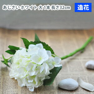 MIZ  p[c t[AW nhCh  zCg ~j  1{  tFCNt[ A[gt[ CeA AWysz