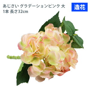 MIZ  p[c t[AW nhCh  Of[VsN~j  1{  tFCNt[ A[gt[ CeA AWysz