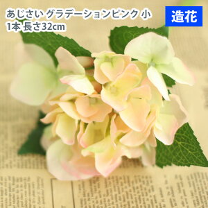 MIZ  p[c t[AW nhCh  Of[VsN~j  1{  tFCNt[ A[gt[ CeA AWysz