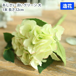 MIZ  p[c t[AW nhCh  WO[ ~j  1{  tFCNt[ A[gt[ CeA AWysz