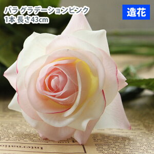 MIZ  p[c t[AW nhCh ێ o Of[VsN 1{  tFCNt[ A[gt[ CeA AWysz