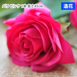 MIZ  p[c t[AW nhCh ێ o sN 1{  tFCNt[ A[gt[ CeA AWysz