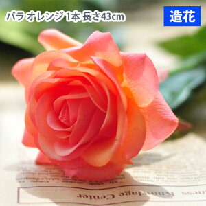 MIZ  p[c t[AW nhCh ێ o IW 1{  tFCNt[ A[gt[ CeA AWysz