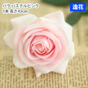 MIZ  p[c t[AW nhCh ێ o pXesN 1{  tFCNt[ A[gt[ CeA AWysz