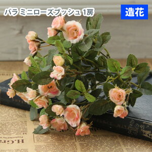 MIZ  p[c t[AW nhCh AeB[N~j[YubV o [t Zbg sN 1[  tFCNt[ A[gt[ CeA AWysz