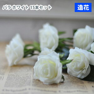 MIZ  p[c t[AW nhCh ێ o 15{ zCg  tFCNt[ A[gt[ CeA AWysz