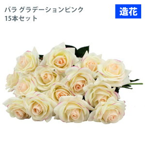 MIZ  p[c t[AW nhCh ێ o 15{ Of[VsN  tFCNt[ A[gt[ CeA AWysz