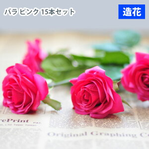 MIZ  p[c t[AW nhCh ێ o 15{ sN  tFCNt[ A[gt[ CeA AWysz