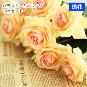 MIZ  p[c t[AW nhCh ێ o 15{ N[IW  tFCNt[ A[gt[ CeA AWysz