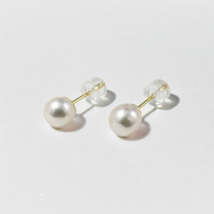 y󂠂z{^sAX6.5`7.0~삠^X^bhsAXECOyMtgbsOς݁zy6aΐ^zyfB[X,,,ʔ́z