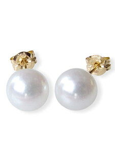 18a{^sAX6.0~Abvy6aΐ^zyfB[X,,,ʔ́z