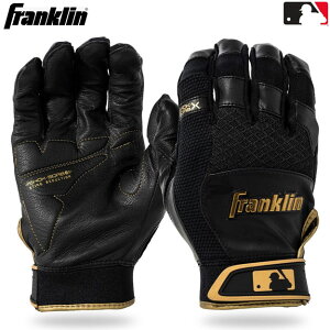 �y���{������!���ʌ�����ׁz Franklin�@�t�����N�����@�o�b�e�B���O�O���u�@����p�@SHOK-SORB X�@���W���[���[�O�@���W���[�@�o�b�e�B���O���