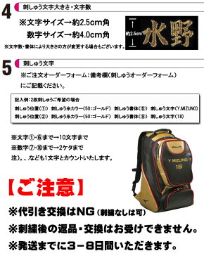 【限定モデル!刺しゅう無料!】ミズノプロバックパック1FJD8904送料無料リュック野球mizunopro
