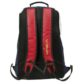 【限定モデル!刺しゅう無料!】ミズノプロバックパック1FJD8904送料無料リュック野球mizunopro