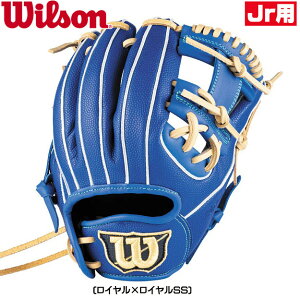 �y�^�������I���x�����������z�E�B���\���@Wilson�@���N�p�@�O���[�u�@�����p�@�I�[�����E���h�p �R���j�@D-MAX DUAL Jr�@M�T�C�Y�@��-���w�N����(3-6�N�������j WBW104458 WBW104460 WBW104462 WBW1044