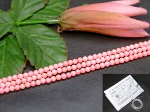 g3-344⁜4mmsNX TS R[1A39cm ʂjAA1mStLAtJYVR΁p[Xg[