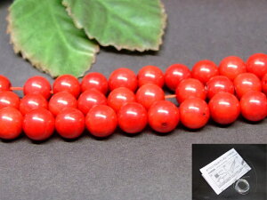 g3-341M 11OFF 8mm킯 ԎX TS R[߁1A39cm ʂjAA1mStAtJYVR΁p[Xg[