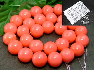 g3-344C⁜14mmTSR[X聜1A39cm ʂjAA1mStLyVňlɒ큜AtJYVR΁p[Xg[