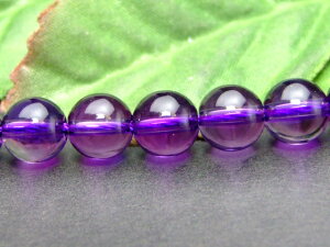 g3-58K⁜8mm 5A AWXg1聜ӕʍρE{ۏ؁LyVňlɒ큜uWYVR΁p[Xg[