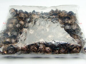 490@@80off  12mm 1000 ԓÔ p[c ݌ɏ L yVňlɒ VR p[Xg[ANZT[