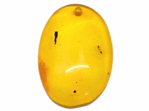 67677@@ Ao[  26mm×18mm 1 [X   y_ggbv  LVRY VR p[Xg[