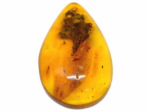 67672@@̔z 킯  z Ao[  32mm×21mm 1 [X   y_ggbv  LVRY VR p[Xg[