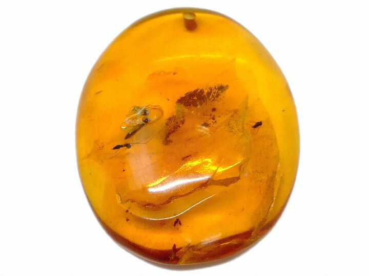 楽天市場】67705 今月の半額 わけあり 虫入り アンバー 琥珀 32mm×26mm 