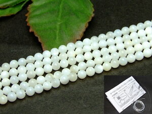 g3-189⍡10OFF4mm5A}U[Iup[L1A37cm ʂjAA1mStI[XgAYVR΁p[Xg[