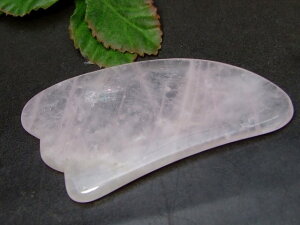 56386@@ v[g [YNH[c H^ 1 eE}bT[W  VR p[Xg[