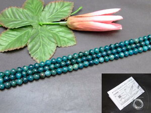 g3-2225H�@�@�A�p�^�C�g 6mm A 1�A39cm �ʂ��j�A������A1m�S���t�� �ӊD�� �������� �u���W���Y �V�R�� �p���[�X�g�[��