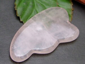 57524@@ ACX ~jv[g [YNH[c g^ 1 eE}bT[W  VR p[Xg[