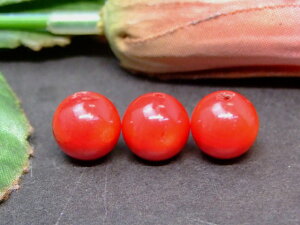 60582@̔z 킯 10mm 1 ԎX TS R[  L AtJY VR p[Xg[