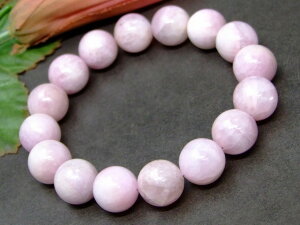 g3-885@̔z 13mm A Nc@Cg uXbg a17cm ӕʍ {ۏ |[`t  uWY VR p[Xg[