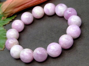 g3-885A@@̔z 13mm A Nc@Cg uXbg a18cm ӕʍ {ۏ |[`t  uWY VR p[Xg[